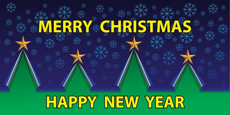 2018 Christmas newsletter