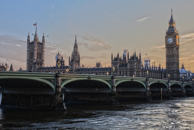 Public Sector