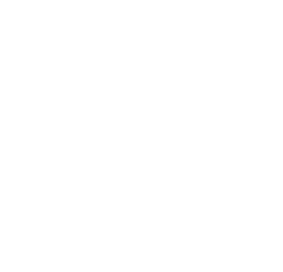 BRAIN_LIGHTBULB